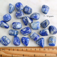 lapis lazuli tumbled crystals