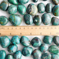Chrysocolla | Tumbles Multiple Weights