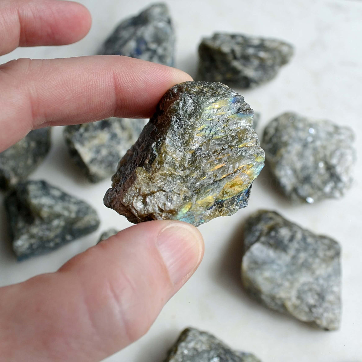 close up raw rough natural labradorite crystal