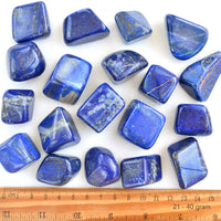 Lapis Lazuli | Tumbles Multiple Weights