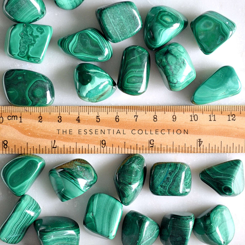 tumbled malachite crystals with ruler showing size