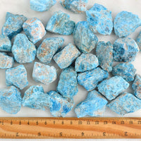 blue apatite raw rough crystals with ruler