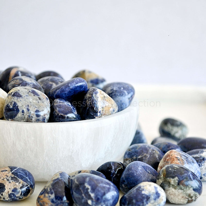 side view of sodalite tumbled crystals in white selenite bowl white background sold by the essential collection australia